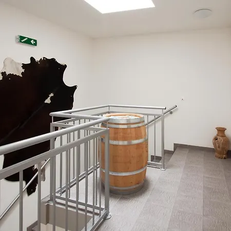 Kirchenblick Tulln An Der Donau